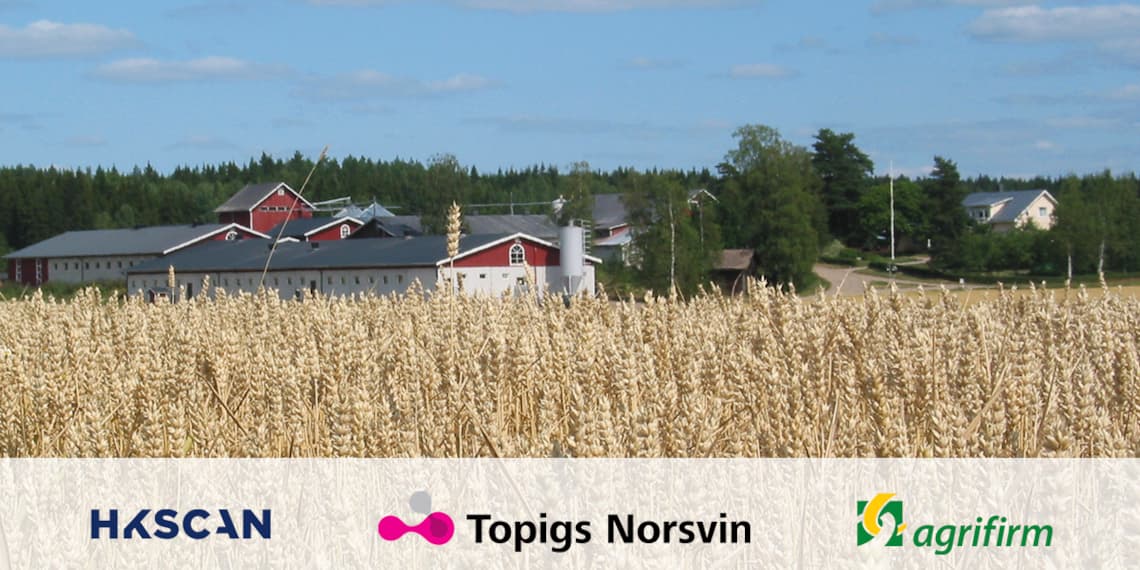 HKScan TopingsNorsvin Agrifirm Linkedin banneri 1200x627 v1 A final