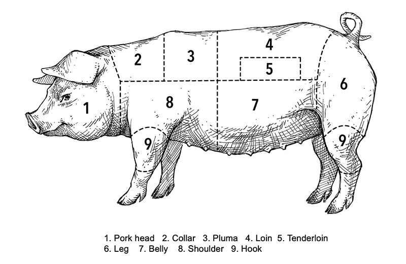 HKScan_chart_export_pork_800x520.jpg
