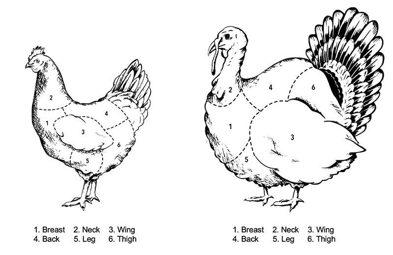 HKScan_chart_export_poultry_800x520.jpg