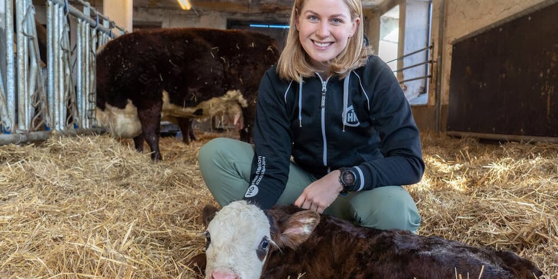 Suontaka vasikka poikimiskarsina Ellen Rydbeck   HKScan