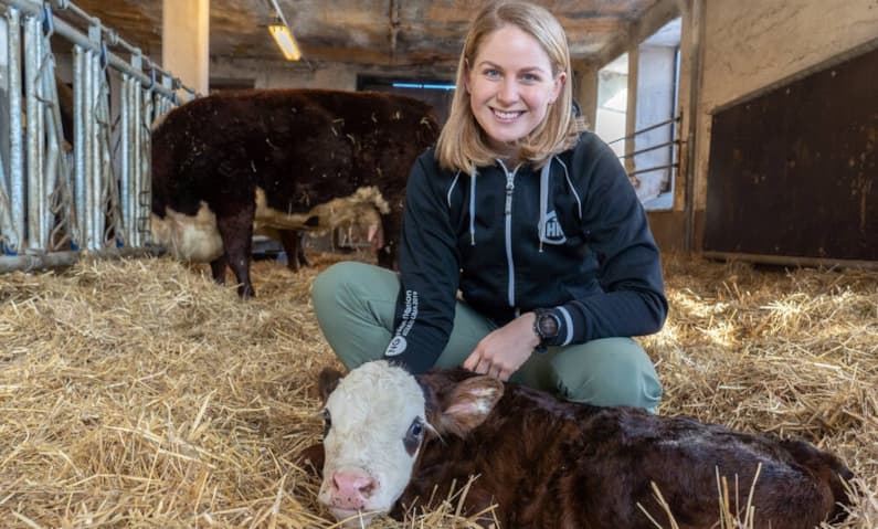 Suontaka vasikka poikimiskarsina Ellen Rydbeck   HKScan