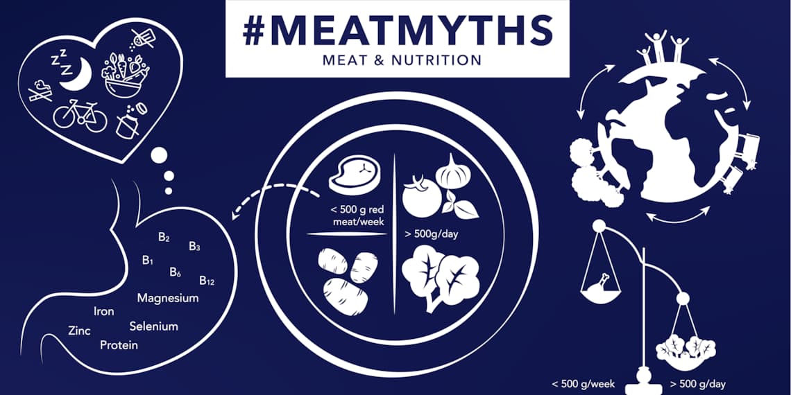 HKScan nutrition infographic en