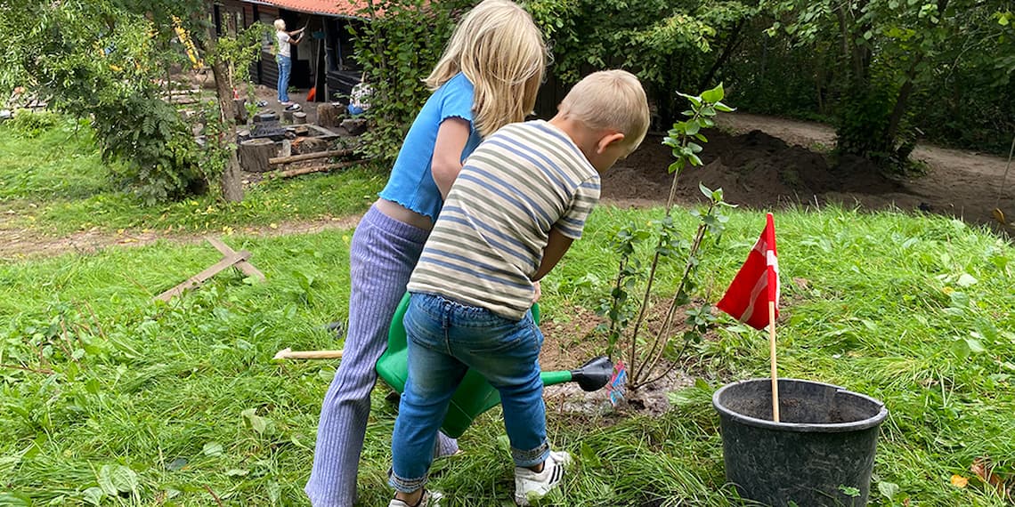 Troldehoejen plantertrae